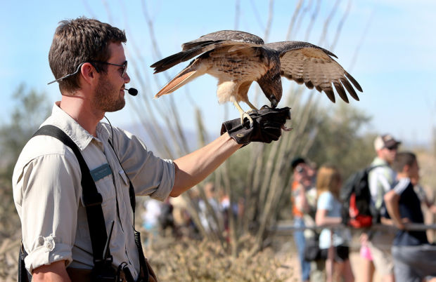 Raptor Free Flight